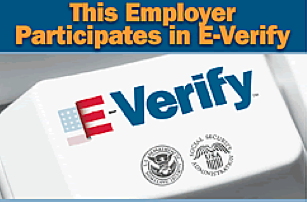 Careers – Information Discovery Services